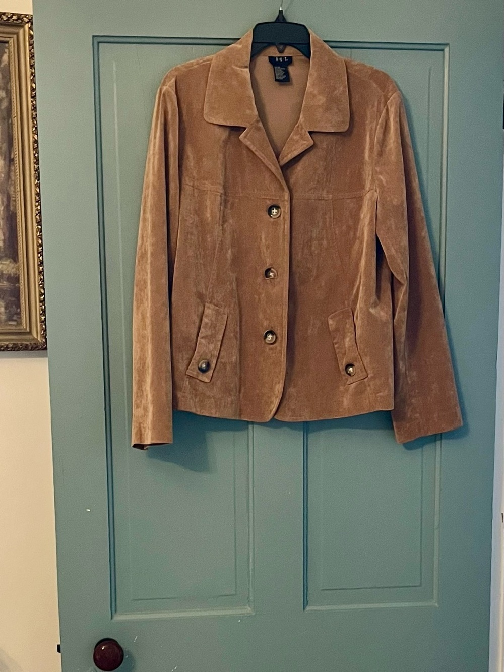 Classic Suede Button-Front Jacket - Brown